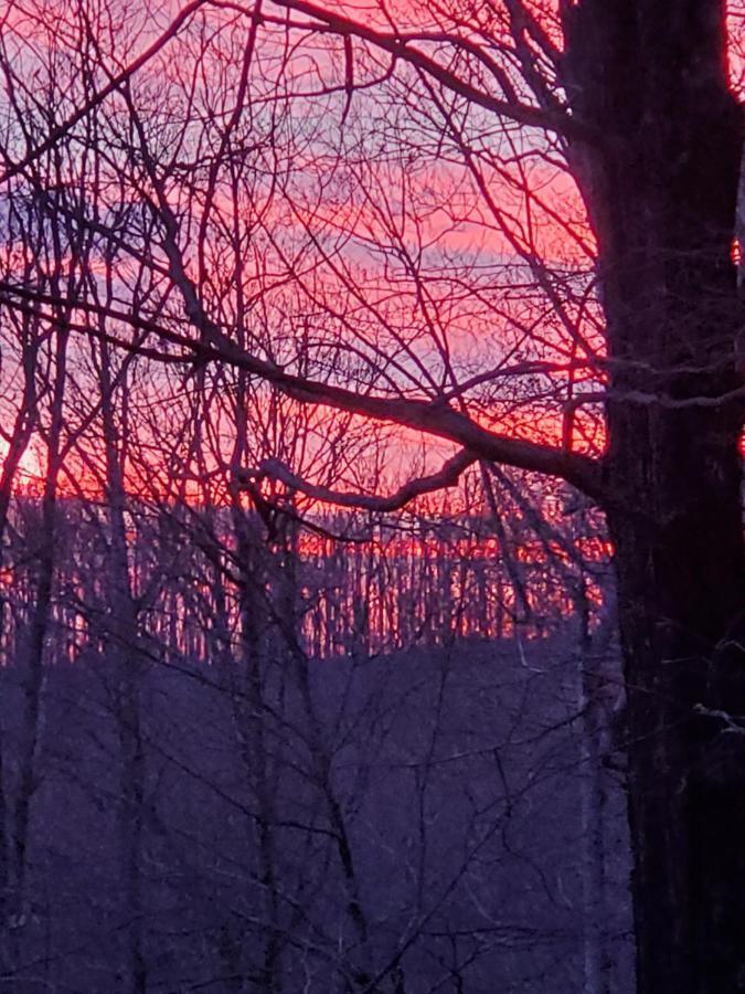 Villa Treehouse Cathedral In Blue Ridge Mountains, Nc Burnsville Esterno foto
