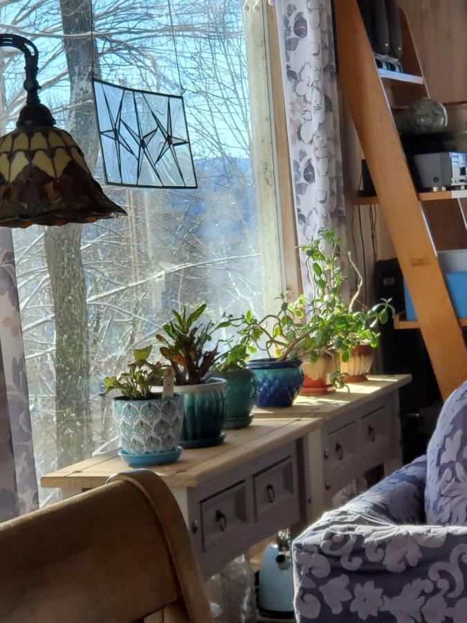 Villa Treehouse Cathedral In Blue Ridge Mountains, Nc Burnsville Esterno foto