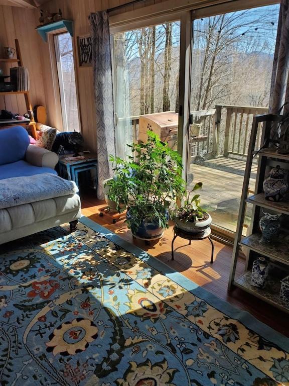 Villa Treehouse Cathedral In Blue Ridge Mountains, Nc Burnsville Esterno foto